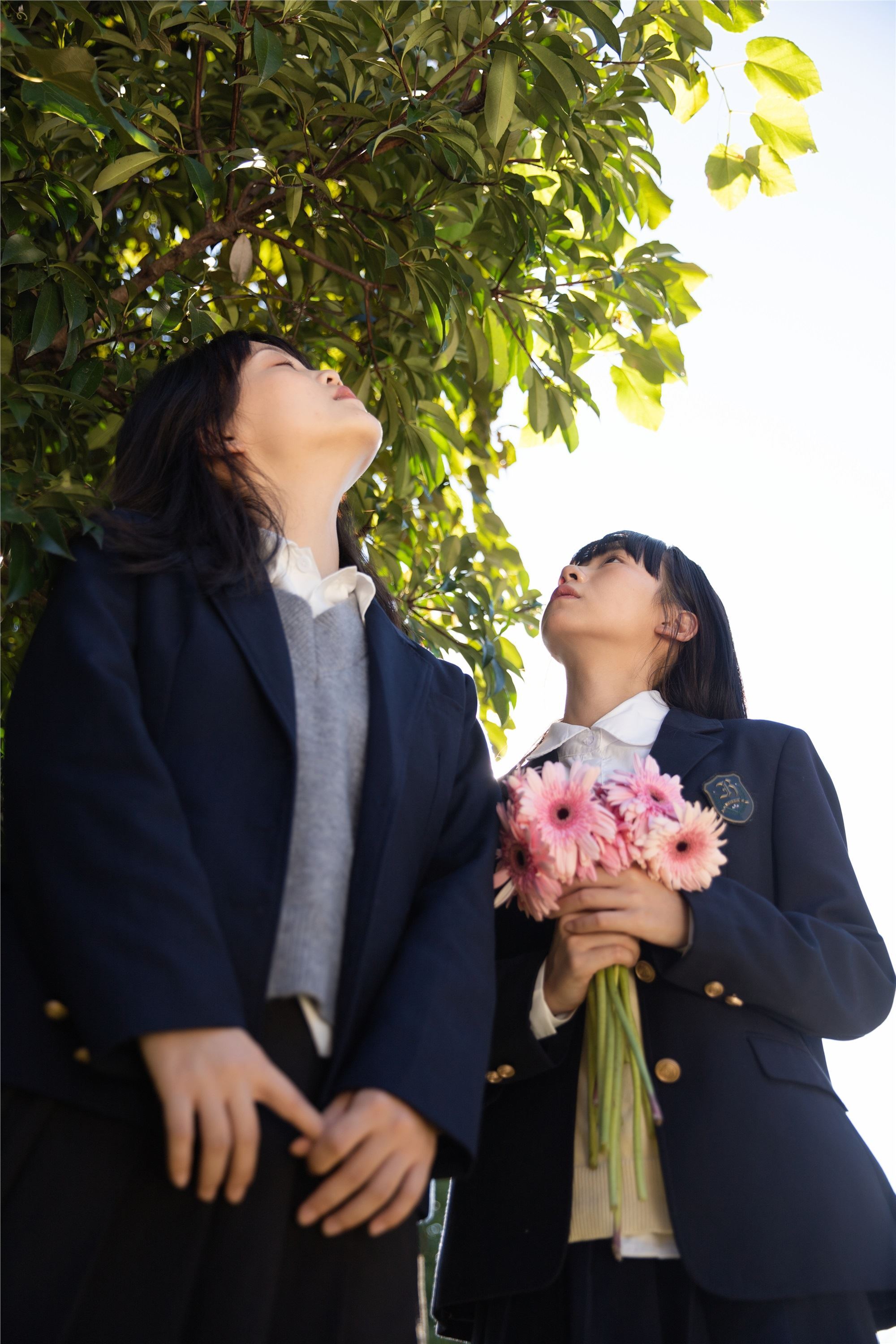 YITUYU艺图语 2025.01.09 花与爱丽丝 当然然然